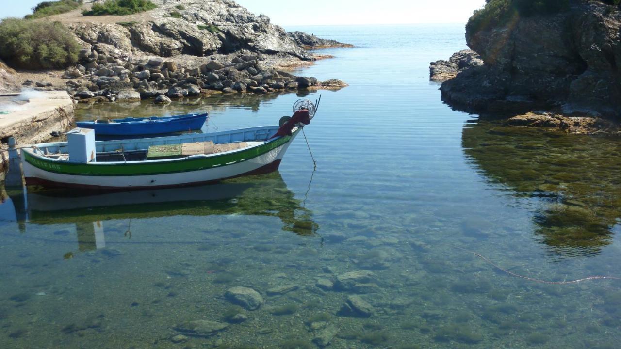 Les Pucines T2 Bas De Villa Six-Fours-les-Plages Buitenkant foto